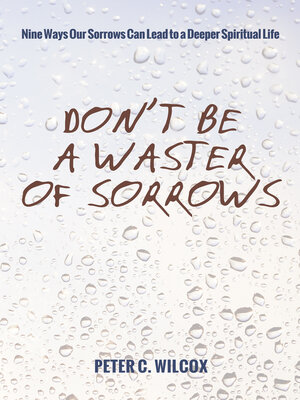 cover image of Don't Be a Waster of Sorrows